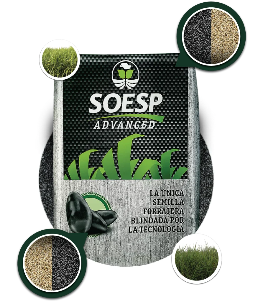 SOESP Advanced