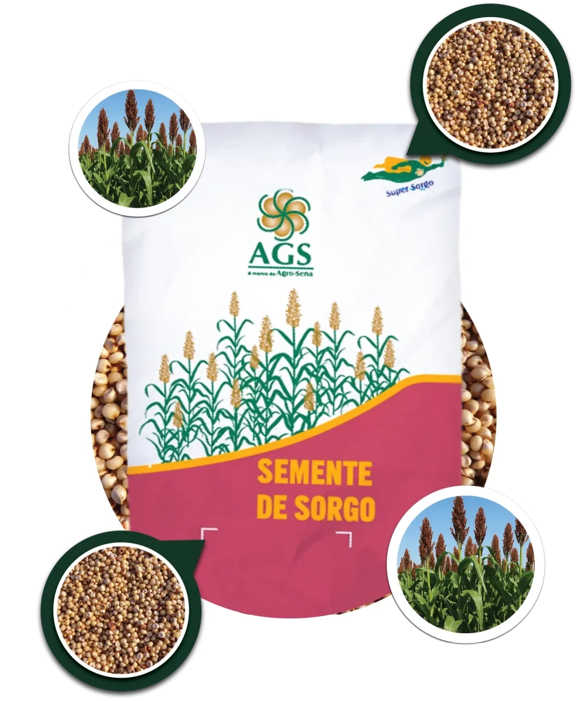 SORGO AGROSENA